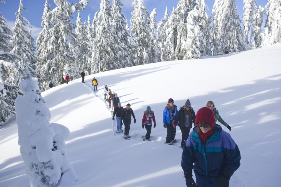 Sneeuwschoenwandelen Ardennen