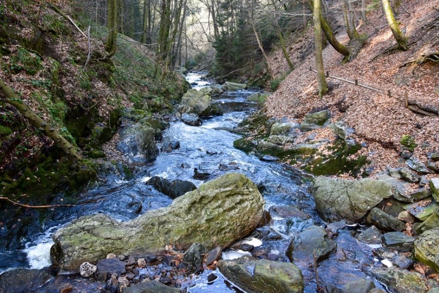 wandeling-hoegne-ardennen