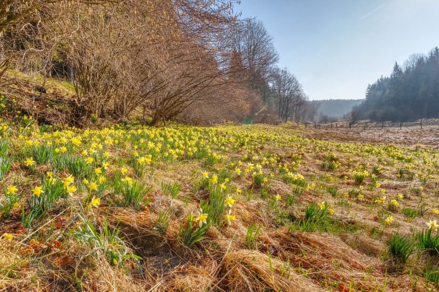 Wandeling door de vallei van de Holzwarche