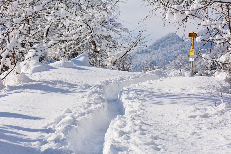 Winterwandelen Ardennen