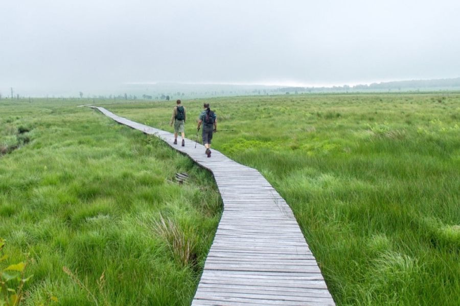 Wandeling over het plankenpad van La Fagne Sacrawe